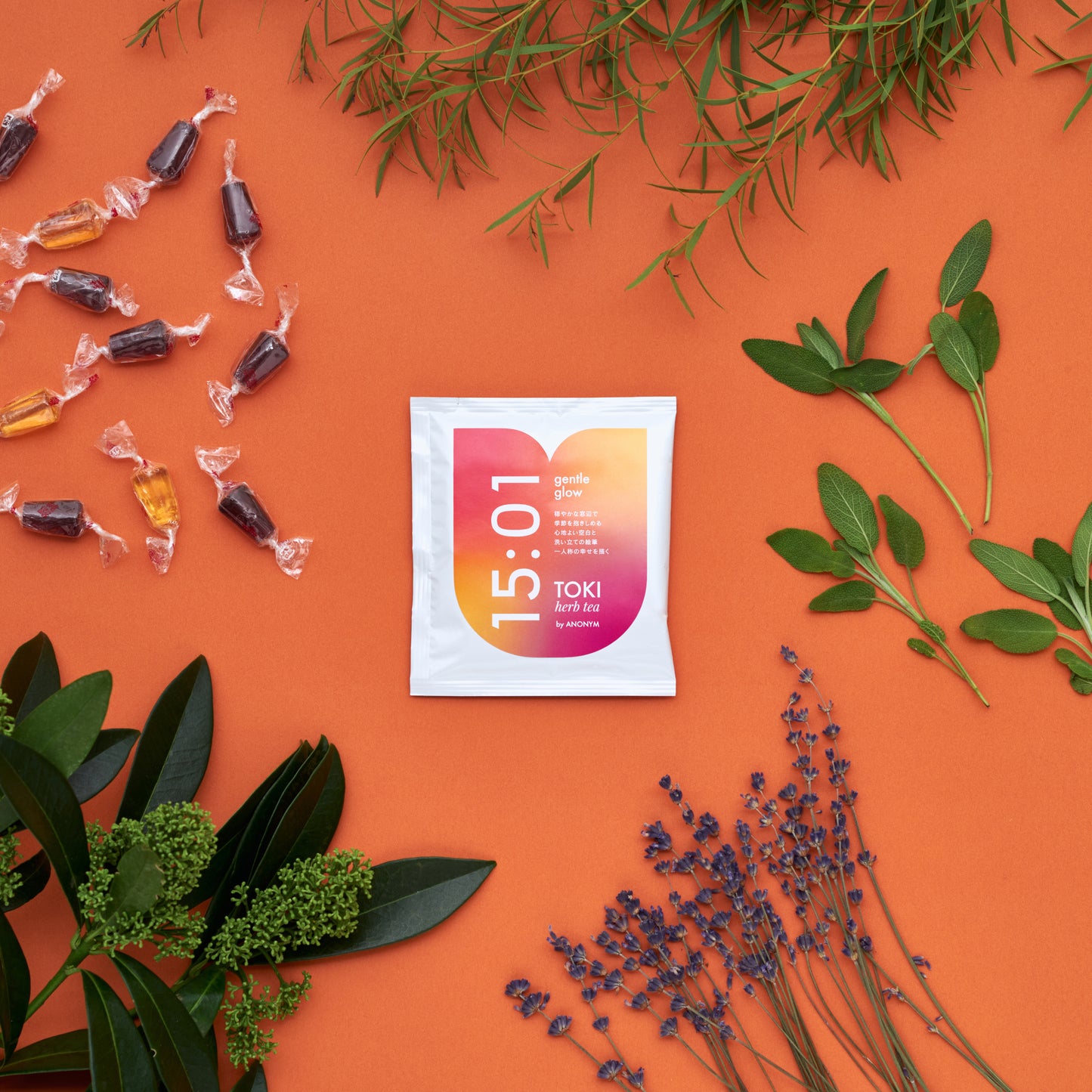 TOKI coffee & herb tea selection(16pcs)